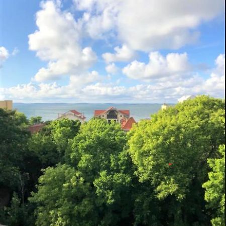Appartement Vue Sur Baie Et Ocean, 100 M De La Plage Et Du Centre Par Chemin Prive آركاشو المظهر الخارجي الصورة