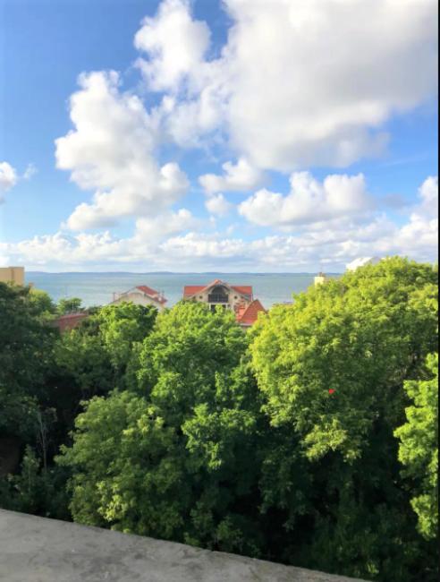 Appartement Vue Sur Baie Et Ocean, 100 M De La Plage Et Du Centre Par Chemin Prive آركاشو المظهر الخارجي الصورة