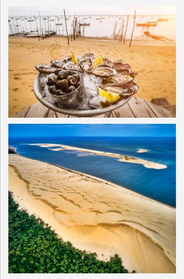Appartement Vue Sur Baie Et Ocean, 100 M De La Plage Et Du Centre Par Chemin Prive آركاشو المظهر الخارجي الصورة